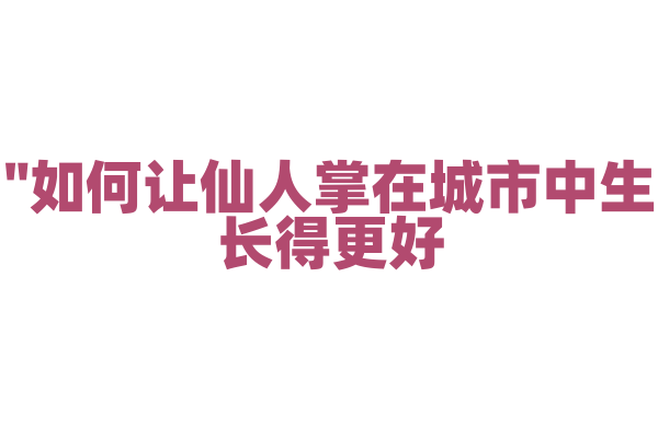 "如何让仙人掌在城市中生长得更好？"